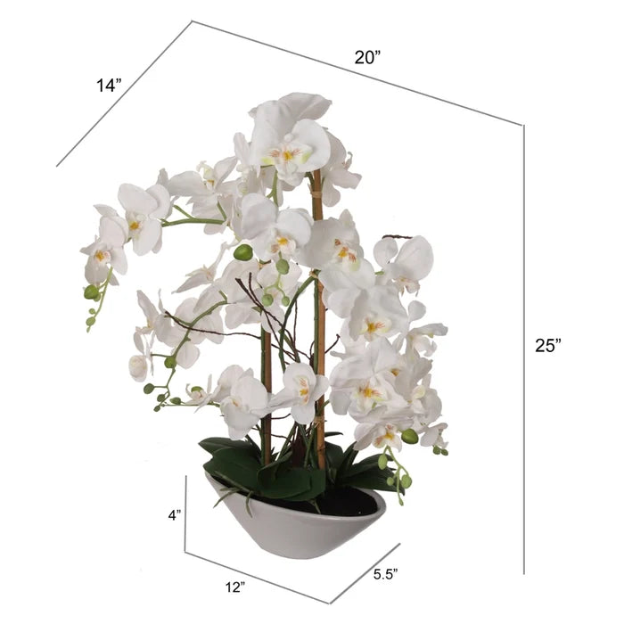 23" White Phalaenopsis Orchid Flowers in White Boat Pot