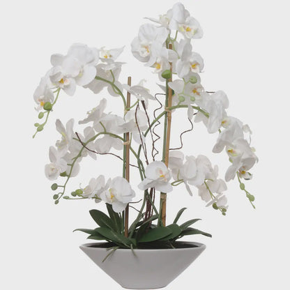23" White Phalaenopsis Orchid Flowers in White Boat Pot