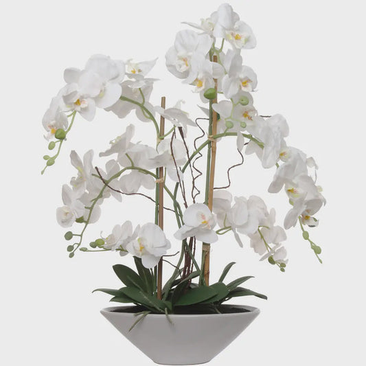 23" White Phalaenopsis Orchid Flowers in White Boat Pot