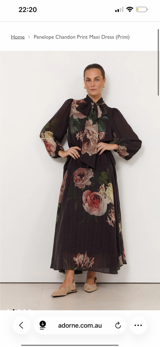 Adorne - the Penelope Chandon Print Long Sleeve Dress
