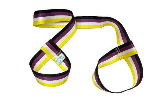 Derby Laces Pride Skate Leash - NB Stripe