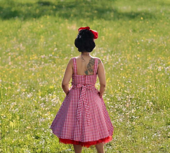 Flirty & Fun Red & White Gingham Dress Full Circle Skirt XS-3XL