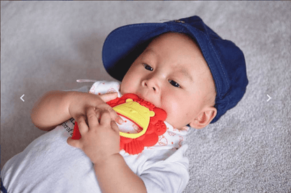 Marcus & Marcus Sensory Teether - Pokey