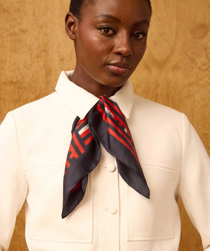 Stripes Silk Scarf in Multi