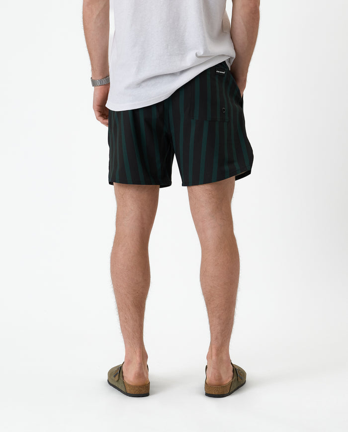 The Shorts in Phantom Stripe — back view showing the vertical stripes and back pocket