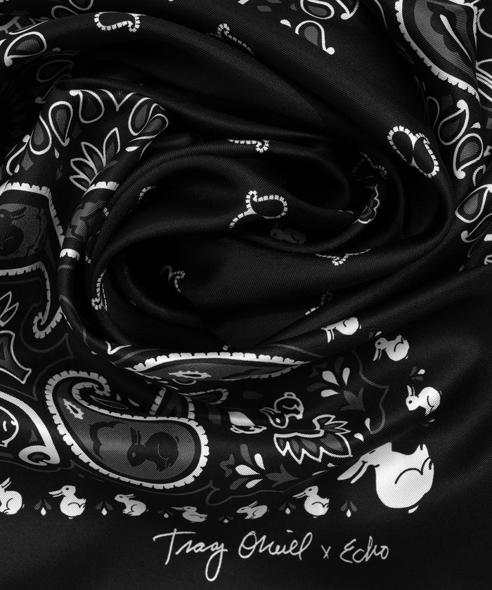 Tracy O'Neill's Echo100 Scarf