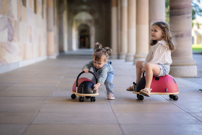 Wheely Bug Kids Ride On Ladybug